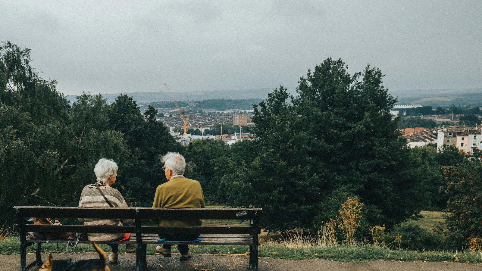 An elderly couple sitting on a bench with a dog