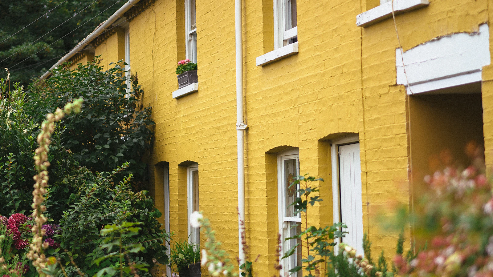 A row of yellow houses next to each other